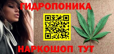 прущие крисы Краснознаменск