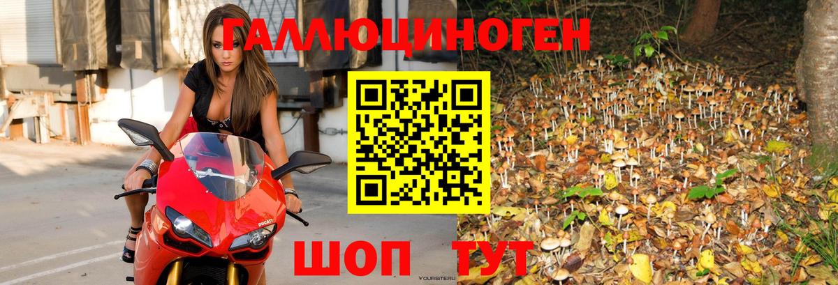 Псилоцибиновые грибы мицелий Урай