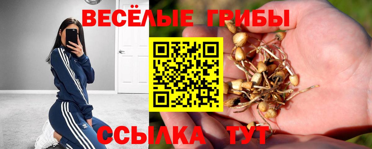 Псилоцибиновые грибы мицелий  Псилоцибиновые грибы GOLDEN TEACHER  Вход с VPN  Урай 